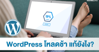 wordpress โหลดช้า แก้