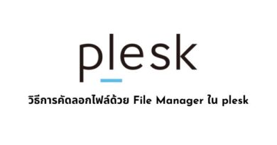 วิธีการคัดลอกไฟล์ด้วย File Manager ใน plesk