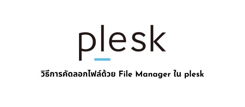 วิธีการคัดลอกไฟล์ด้วย File Manager ใน plesk