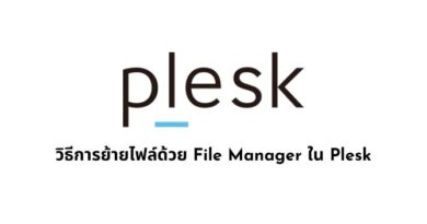 วิธีการย้ายไฟล์ด้วย File Manager ใน Plesk