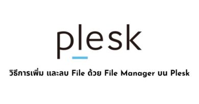 วิธีการเพิ่ม และลบ File ด้วย File Manager บน Plesk