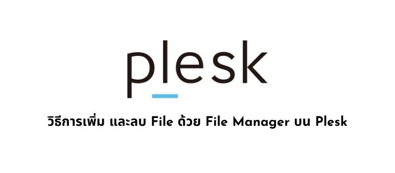 วิธีการเพิ่ม และลบ File ด้วย File Manager บน Plesk