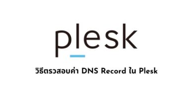 วิธีตรวสอบค่า DNS Record ใน Plesk