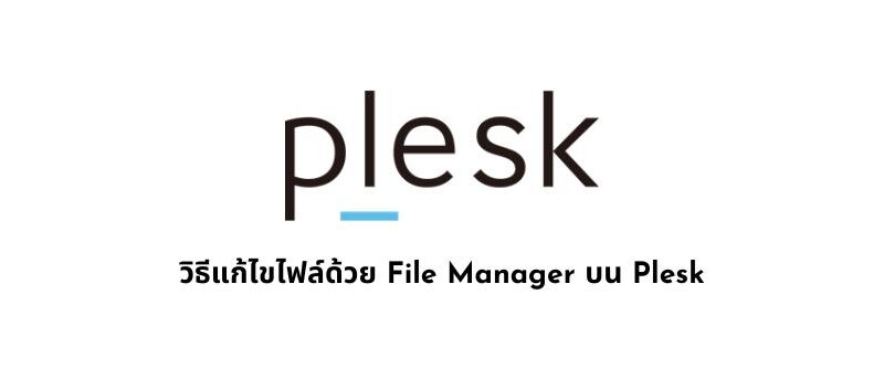 วิธีแก้ไขไฟล์ด้วย File Manager บน Plesk